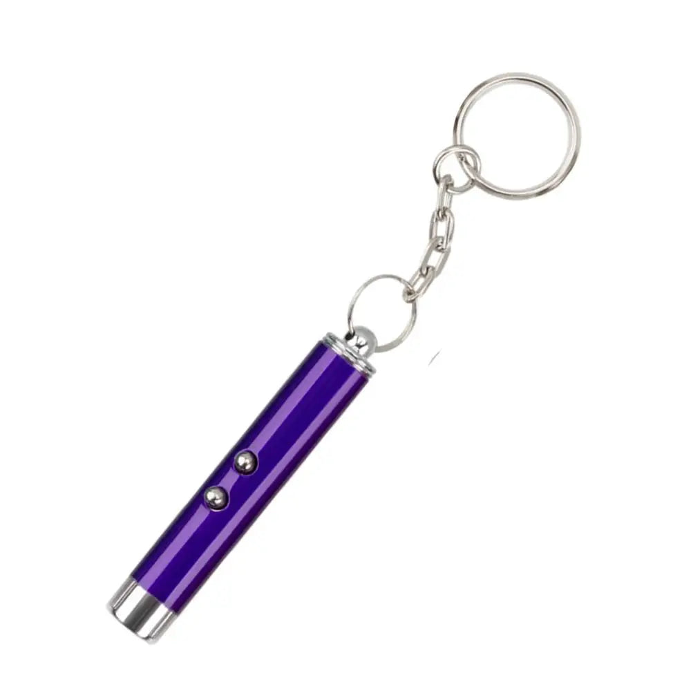 Interactive Laser Pointer